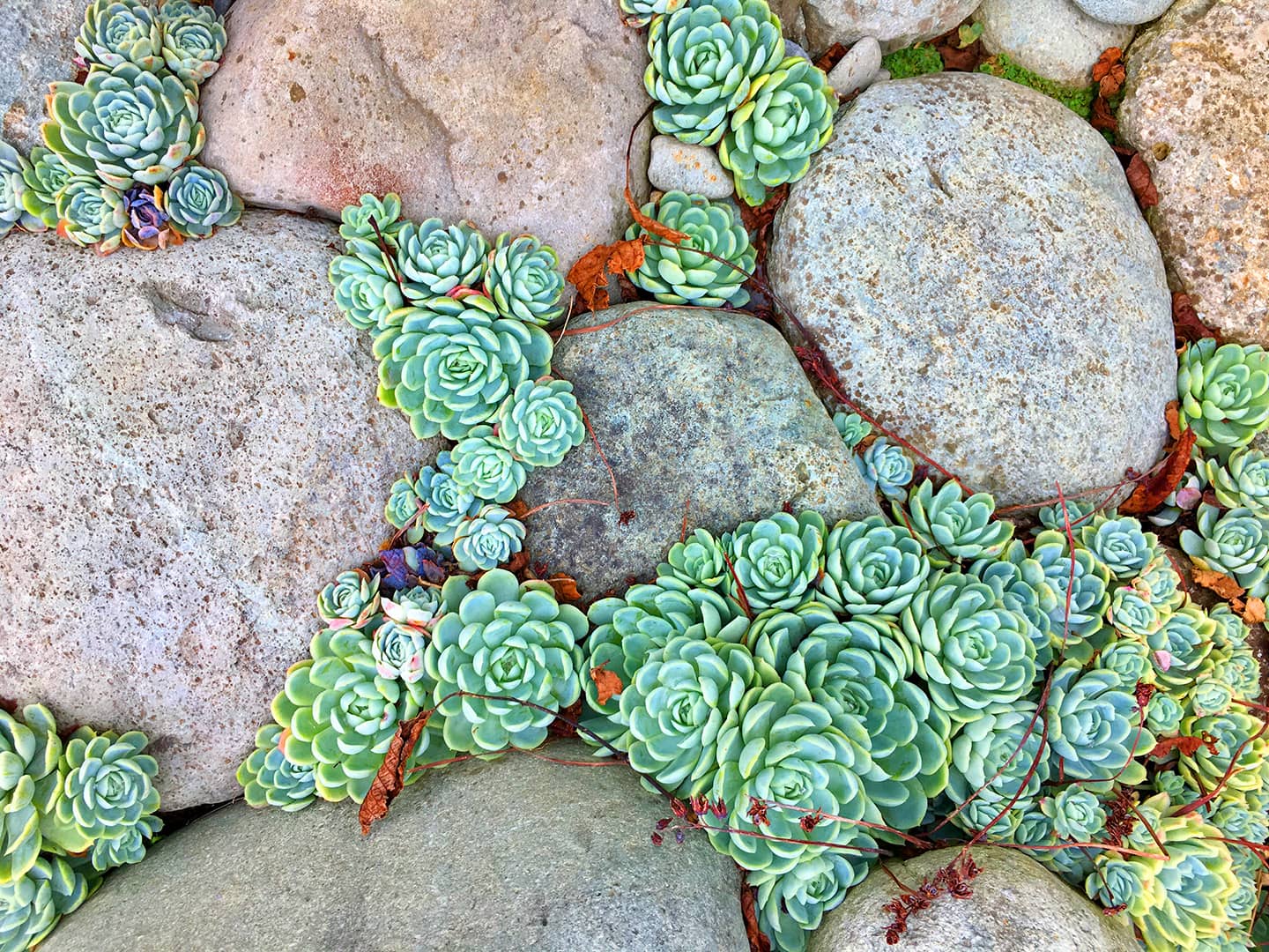 price transparency hero