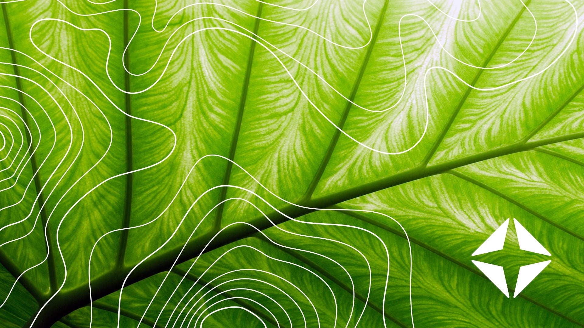 The revenue ripple effect: 3 ways to boost estimate accuracy + collections