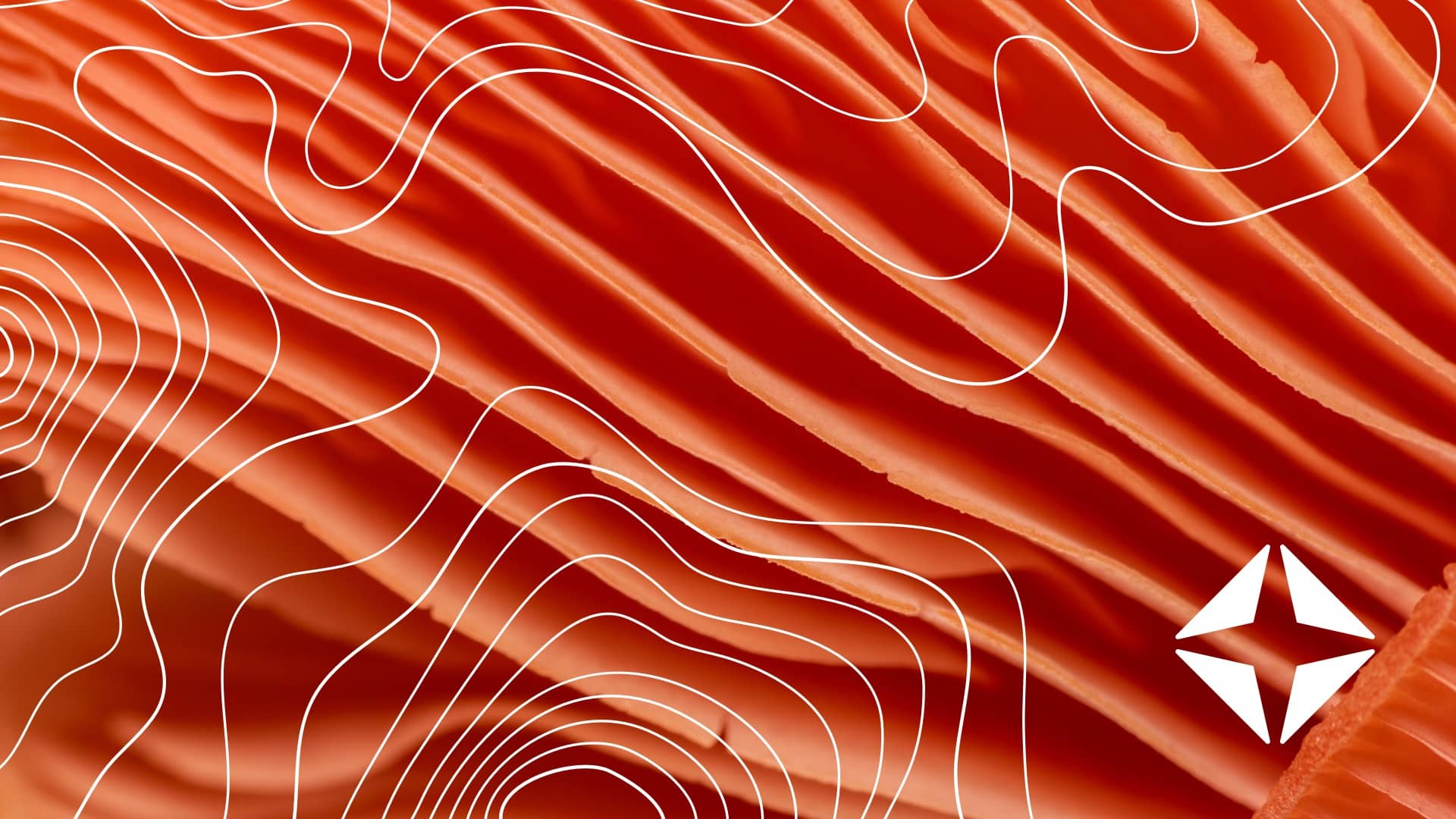 Recoupments 101: The biggest RCM problem no one’s talking about