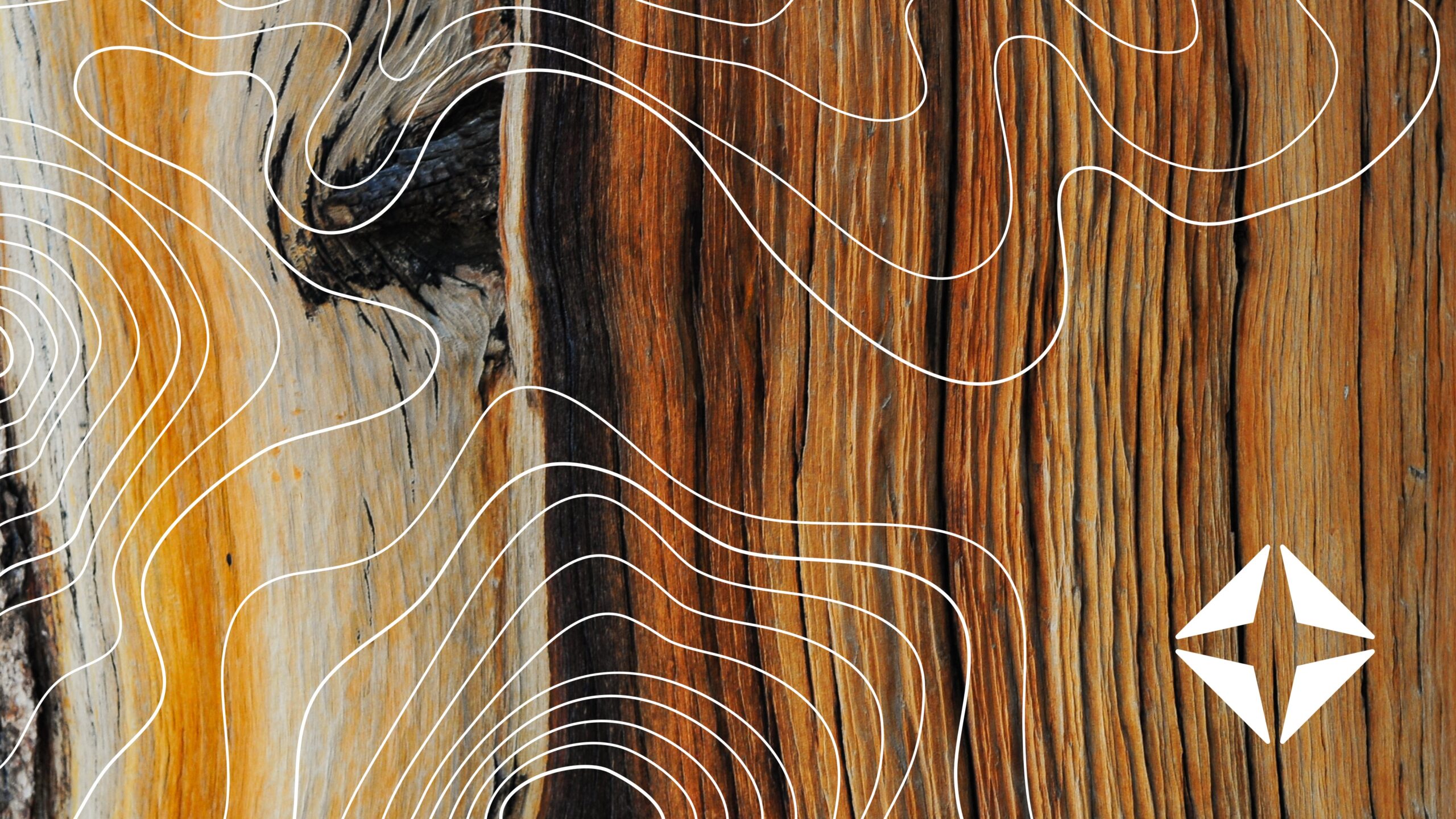 LIVE Q+A — Ask our experts anything: Healthcare payments